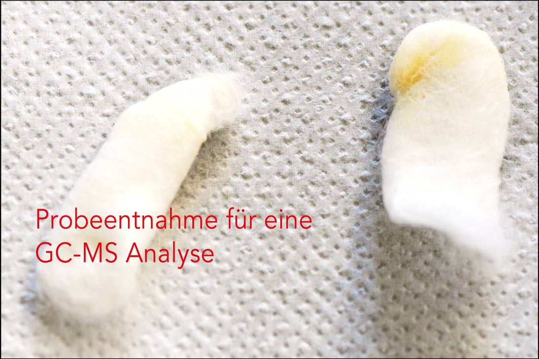 mittels GC-MS VerfahrenDamit können Zusammensetzungen von Oberflächen, z.B. Wachse, Harze, Öle<br>usw. detektiert werden.